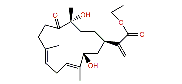 Dendronpholide E